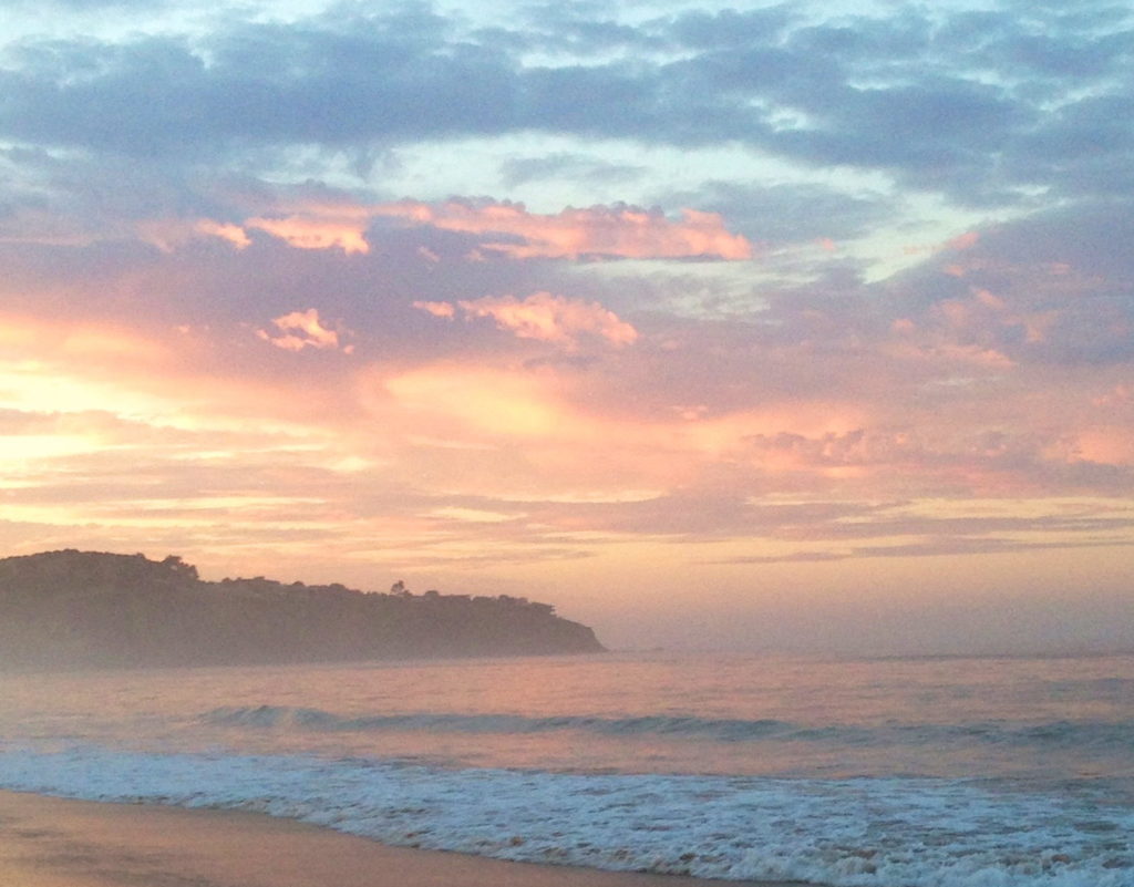 coral-tree-beach
